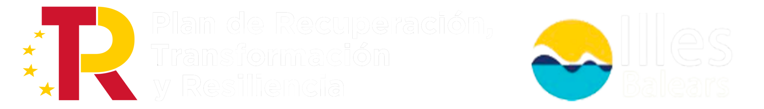 Plan de Recuperación